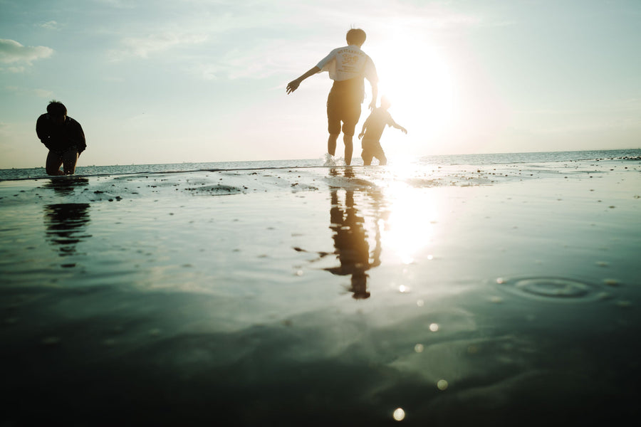 Leave it on, or control the light. How to use OPF 550-L