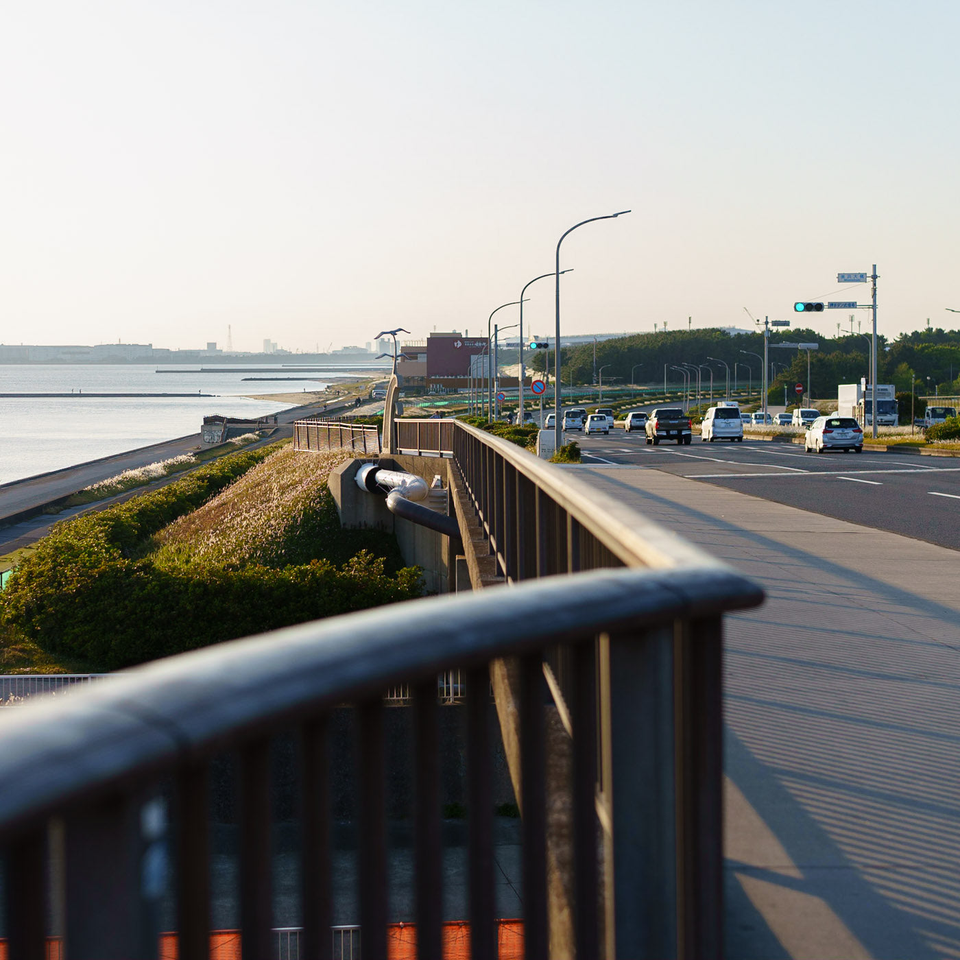 【tokyo grapher】　OPF 650-L 49㎜ OPF 650-L【カメラレンズ用フィルター】TOKYO GRAPHER