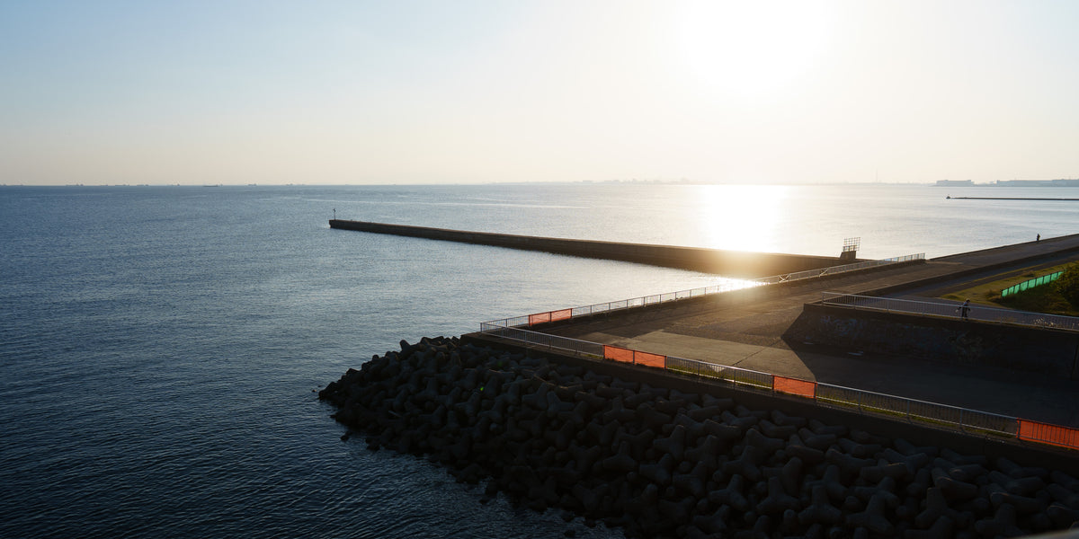 CDF（Cinematic Diffusion Filter) [ Layer-X BASE ] – TOKYO GRAPHER