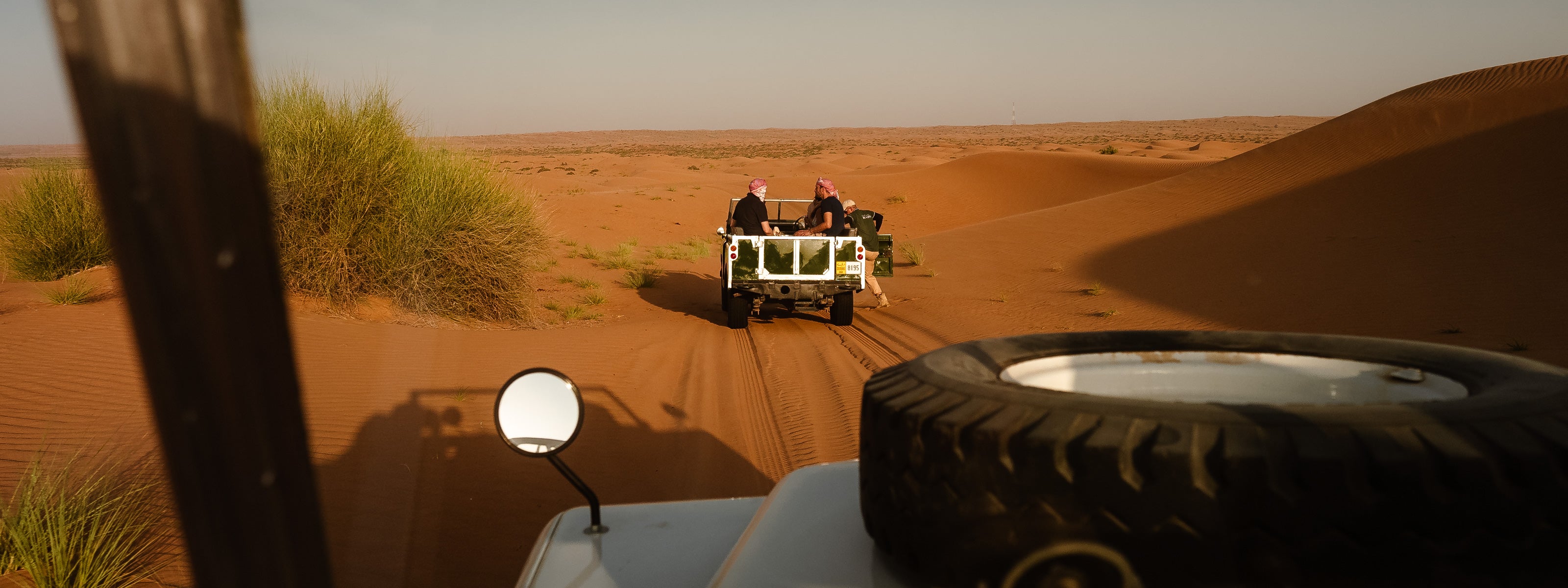 Virid Oze for OPF480 [Lightroom Preset]