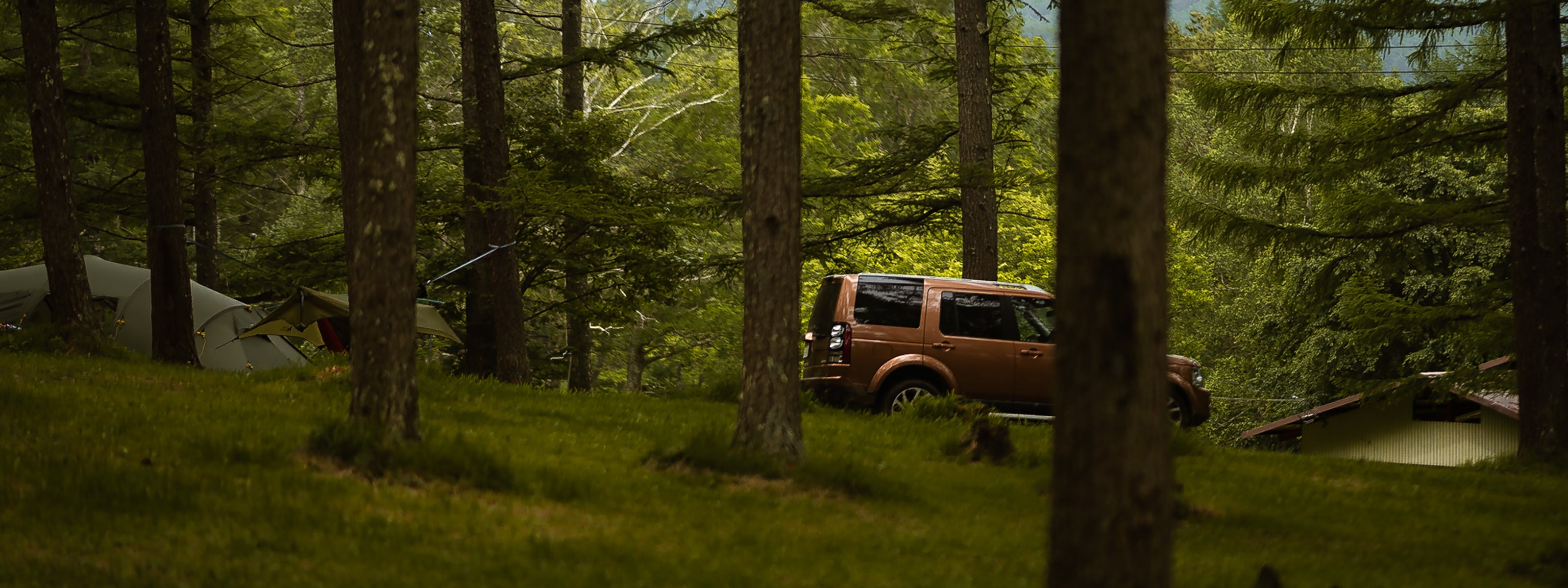 Virid Oze for OPF480 [Lightroom Preset]